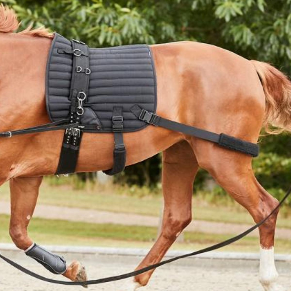 Catago Fir-Tech Träningsschabrak