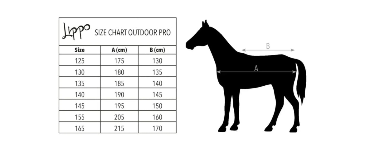LIPPO OUTDOOR PRO 900 PLUS