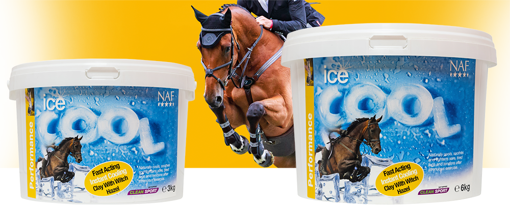 NAF - Ice cool kyllera