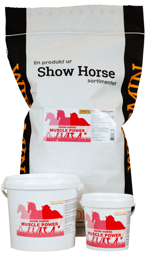 Show Horse - Muscle Power